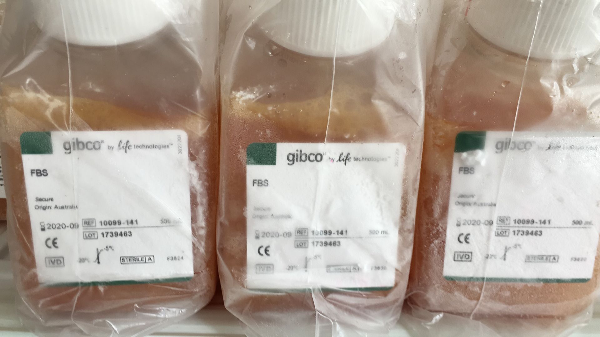 10099-141Gibco特级胎牛血清FBS【澳洲】500ml
